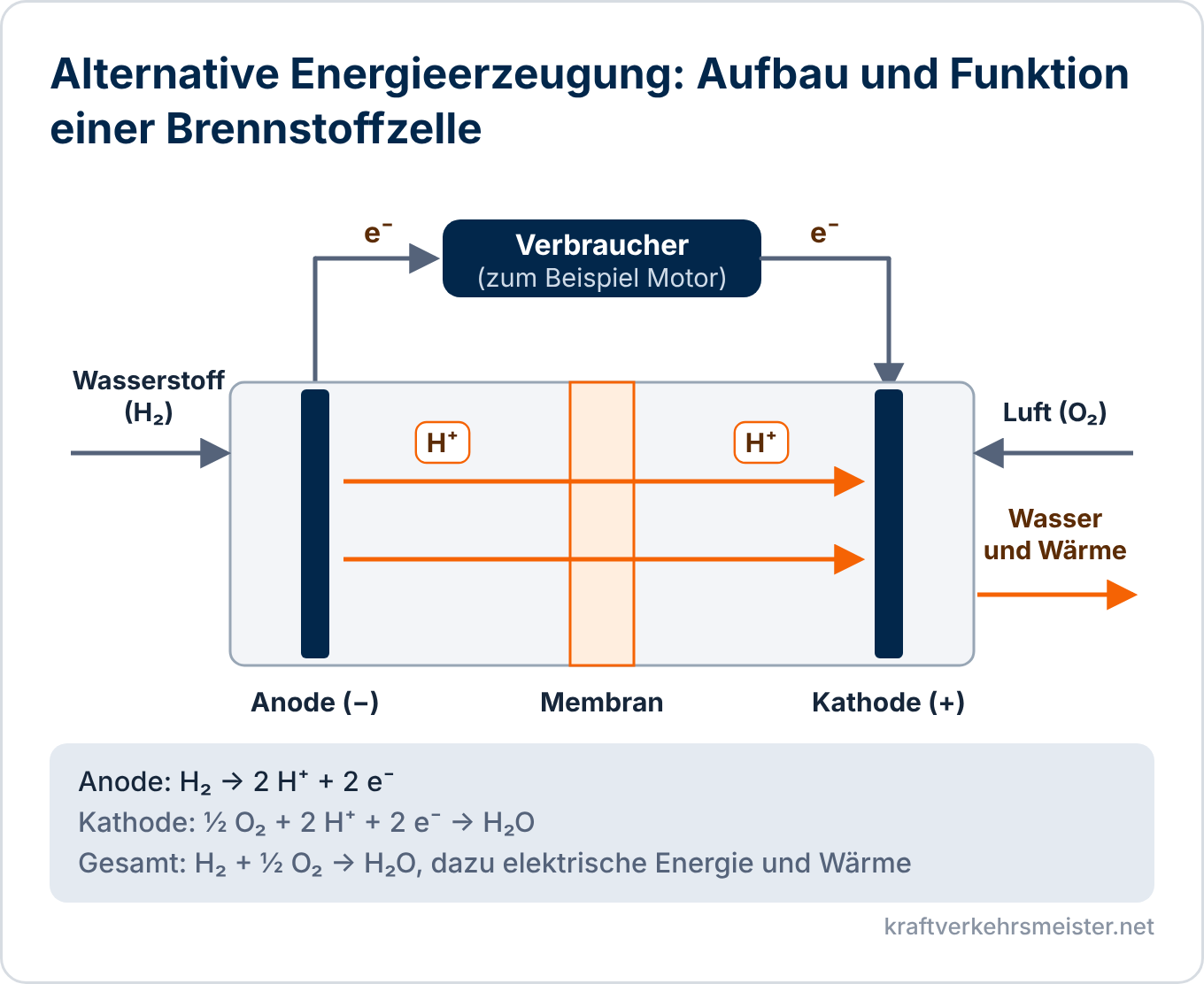 Schaubild Alternative Energieerzeugung: Brennstoffzelle mit Anode, Membran und Kathode, Wasserstoff und Luft als Zufuhr, Elektronen über den Verbraucher, Protonen durch die Membran und Wasser und Wärme als Abgabe